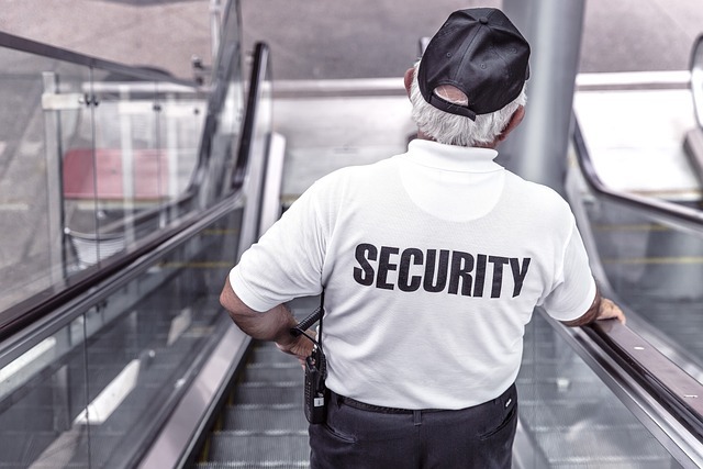 Keeping Pedestrians Safe: The Role of Traffic Controllers in Melbourne