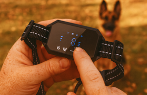 Furthrive GPS Tracker \u2013 Real-Time Tracking with Invisible Pet Boundaries