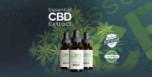 Essential CBD Extract Espa\u00f1a OIl Opiniones, Precio, Esafa &amp; Donde Comprar