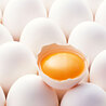 Egg Wholesale Price in Namakkal | Sri Selvalakshmi