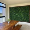 Install Indoor Outdoor Vertical Garden to Bring Your Space to Life