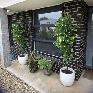 Place Stylish Lightweight Outdoor Pots to Elevate Your Garden Aesthetics