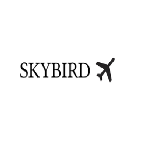 Celebrate Kansas City Aviation History with a Premium Map of MCI by SkyBirdSupply