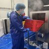 Fish Processing Plant Cleaning for a Safer Work Environment 