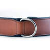 Leather Dog Collars Australia