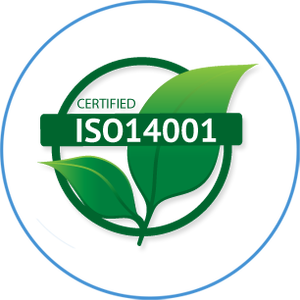 ISO 9001:2015 implementations in delhi