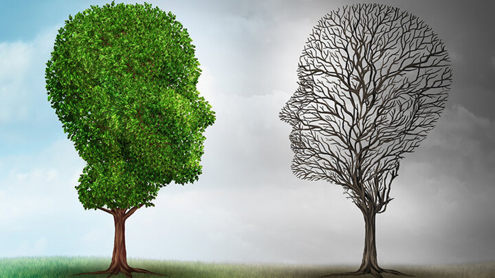 Psychiatrist vs Psychologist: Key Psychiatrist vs Psychologist: What's the Difference?