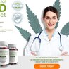 Cannaco CBD Gummies Shark Tank Reviews 2022