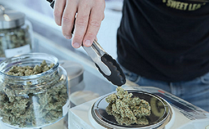 The Green Revolution: Sustainability Practices in Pennsylvania&#039;s Online Cannabis Dispensaries