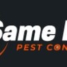 10 Effective Pest Control Tips to Keep Your Home Bug-Free