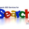 How to Choose the Best Organic SEO Service Provider for Your Industry