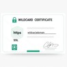 Everything You Need to Know About Wildcard SSL Certificates