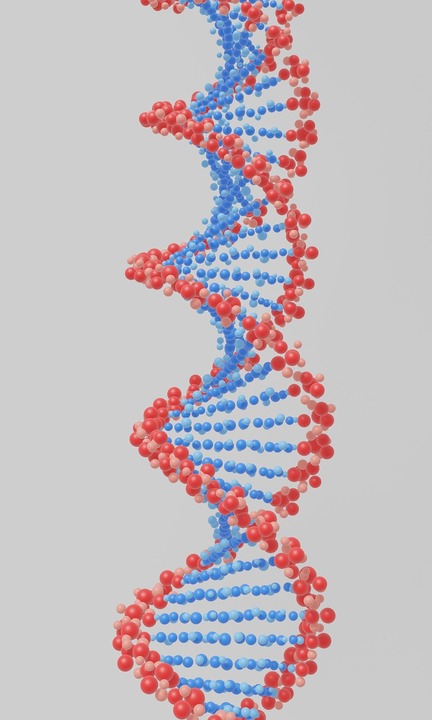 Are All Humans Related? A Deep Dive into Our DNA