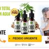 Full Spectrum CBD Oil Mexico Precion, Opiniones &amp; Orden