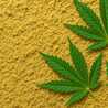 Can Kief Go Bad? Shelf Life and Signs of Degradation