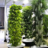 Discover the Future of Gardening with the ALTO GARDEN Hydroponic Tower