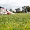 Choosing the Best Sports Artificial Grass for Kiwi Clubs