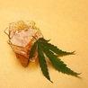 How to Store Cannabis Concentrates for Maximum Freshness and Potency