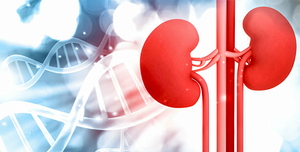 The Future of Renal Care: Making the Most of Stem Cell Therapy for Kidney Transplantation