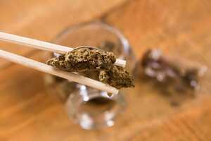 Exploring Different Strains of Medical Cannabis and their Effects