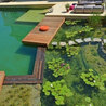 Going Green: The Beauty and Benefits of Natural Pool and Pond Installations