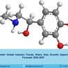 Amines Market Report 2022-27 | Size, Share, Trends, Growth and Forecast