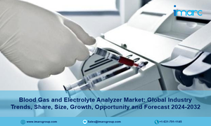 Blood Gas and Electrolyte Analyzer Market Size, Share, Growth, Trends and Forecast 2024-2032