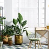 10 Best Low-Maintenance Indoor Plants to Brighten Your Office