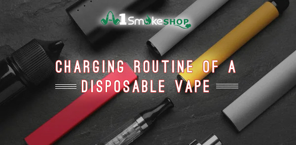 Charging Routine of a Disposable Vape