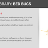 How to Get Rid of Bed Bugs: A Complete Guide