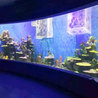 How is aquarium glass made?