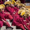 Exploring Tibet: A Journey with Tibetan Travel Agencies