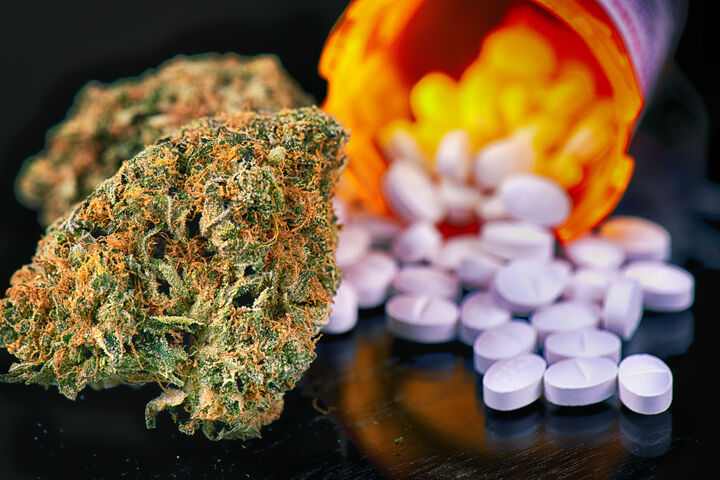 Weed vs Opioids