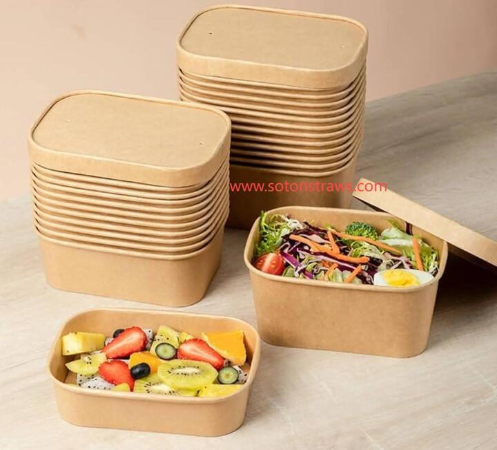  Nature’s Blueprint: Disposable Kraft Box Weaves Sustainability into Seamless Design  