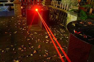 The laser pointer can be a funny cat
