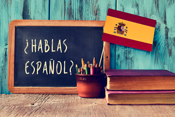 Professional Language Learning Made Easy