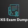 CKS Exam Dumps  By taking the Linux Foundation CKS exercise