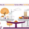 How do Environmental Factors Affect Fertility?