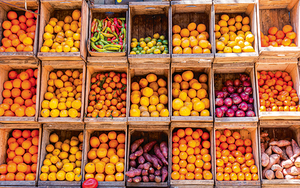 Step-by-Step Guide to Starting Your Fruit and Vegetable Export Company