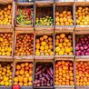 Step-by-Step Guide to Starting Your Fruit and Vegetable Export Company