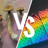 Magic Mushrooms Vs LSD: What&#039;s The Difference?