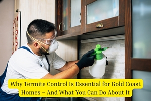 Why Termite Control Is Essential for Gold Coast Homes \u2013 And What You Can Do About It
