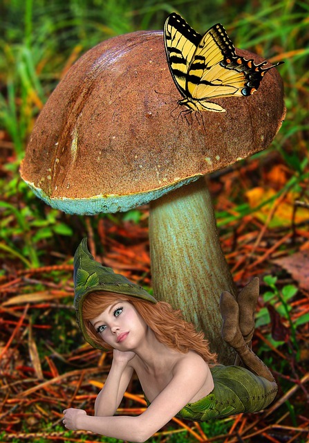How To Something Your Magic Mushrooms Canada