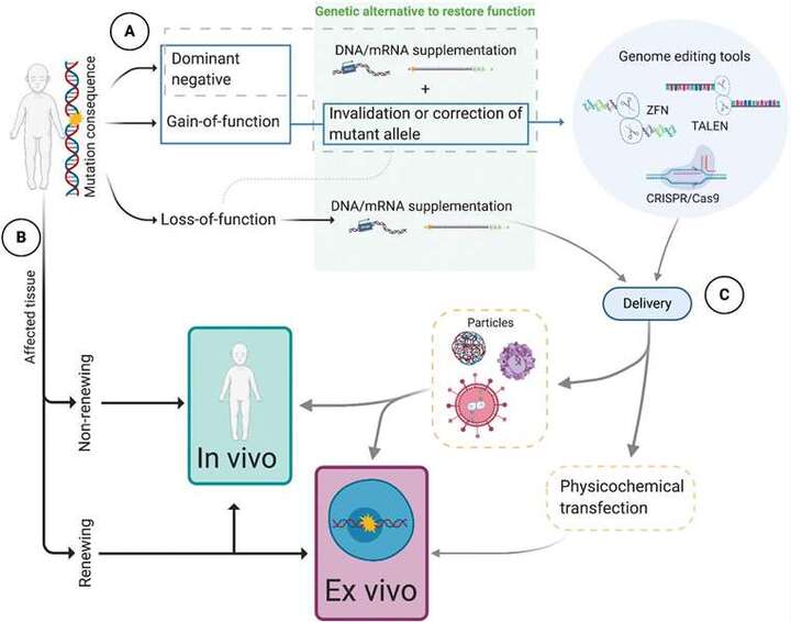 Rare Disease Overview: Challenges and Research Innovations