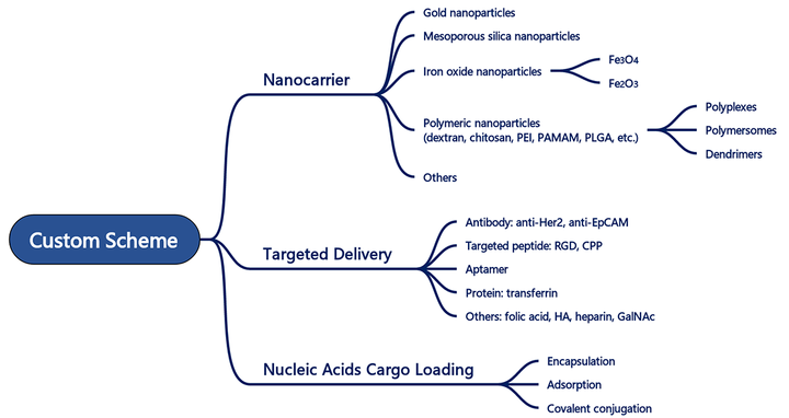 Custom Nucleic Acid Delivery Particle Synthesis Services to Accelerate Gene Therapy and Research
