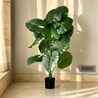 Bringing Nature Indoors: The Benefits of Artificial Plants for Home Decor