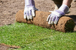 Transform Your Yard with Premium Kentucky Bluegrass Sod in Utah