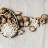 Health Benefits of Moonhaus Mushrooms to Understand for Your Life