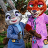 Experience the Ultimate Entertainment: A Fun Show in Orlando and the Disney World New Attraction