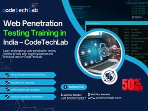 Advanced Web Penetration Testing Training in India for Professionals